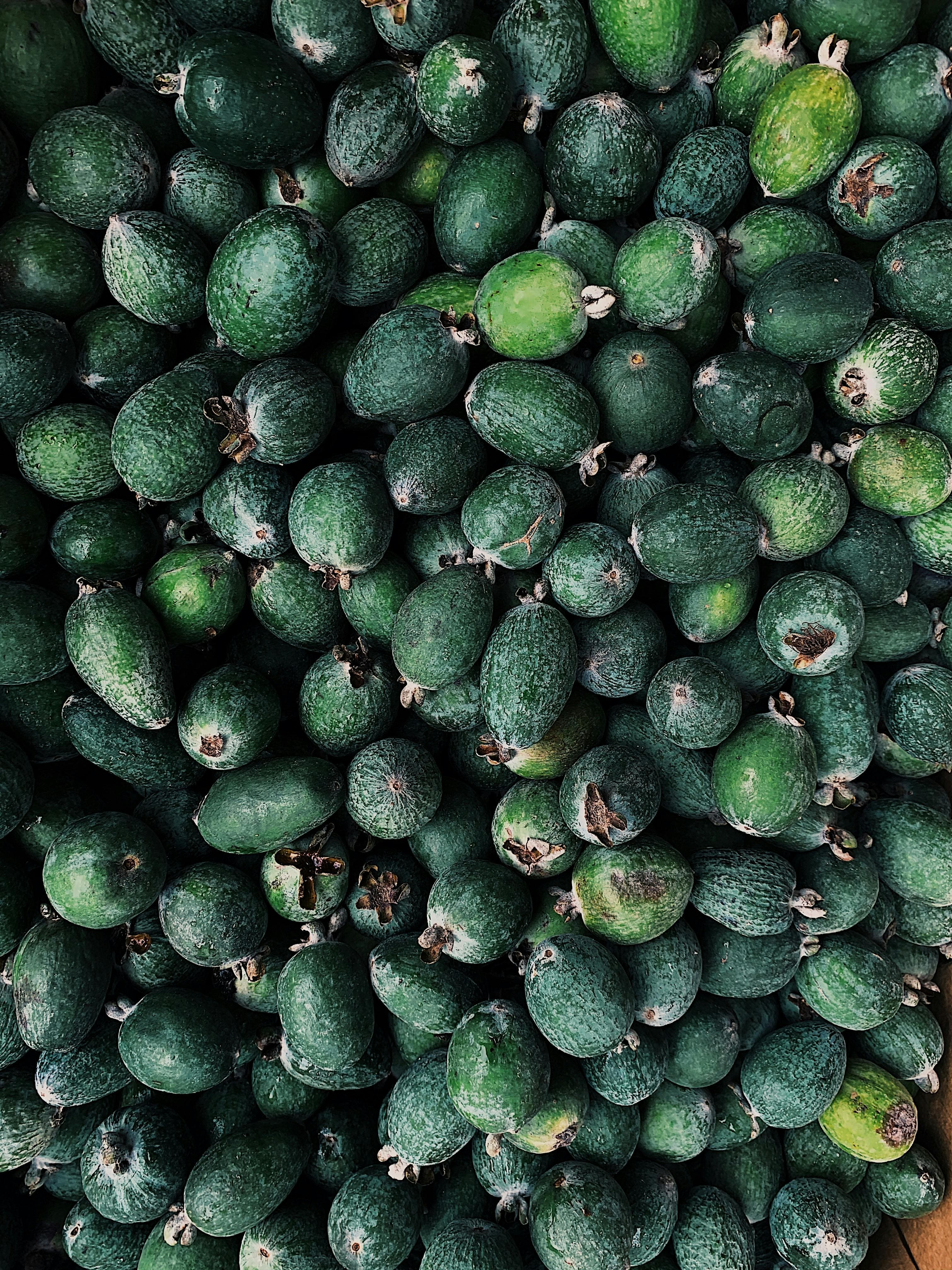 Fresh feijoa pineapple guava fruit