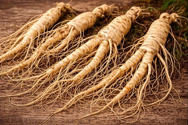 Fresh ginseng root