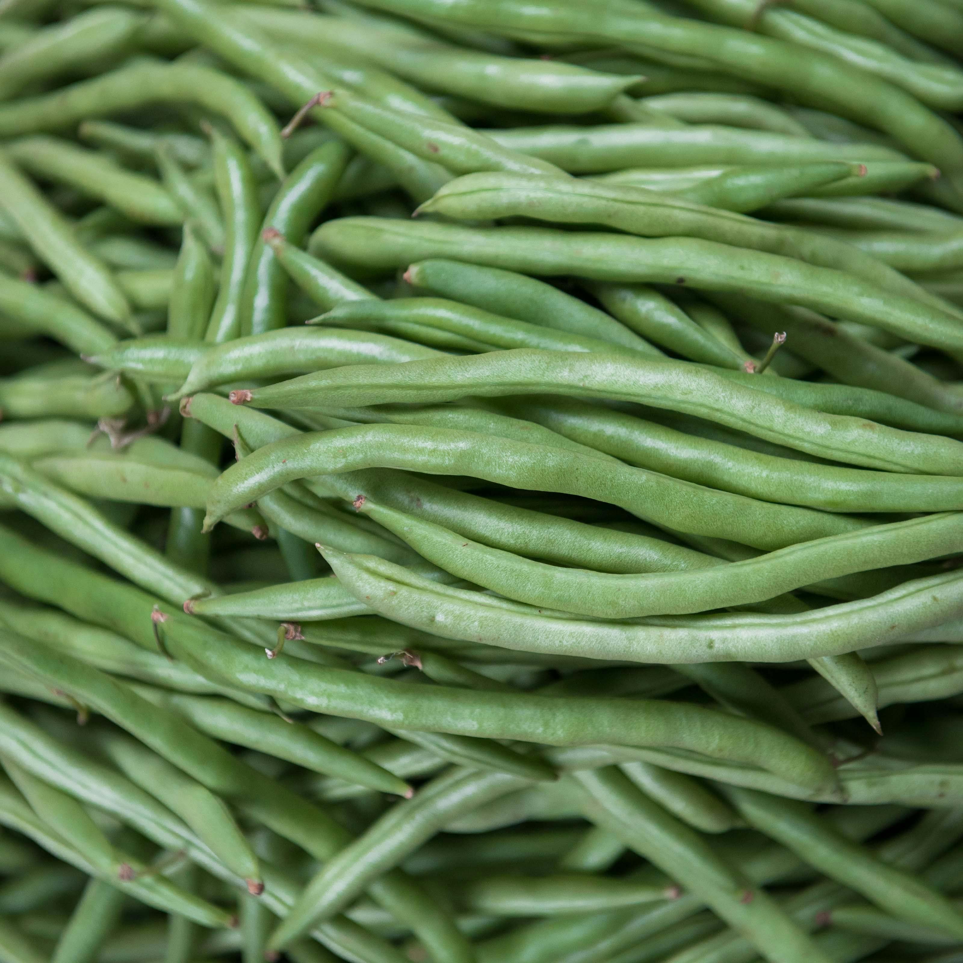 Fresh green beans