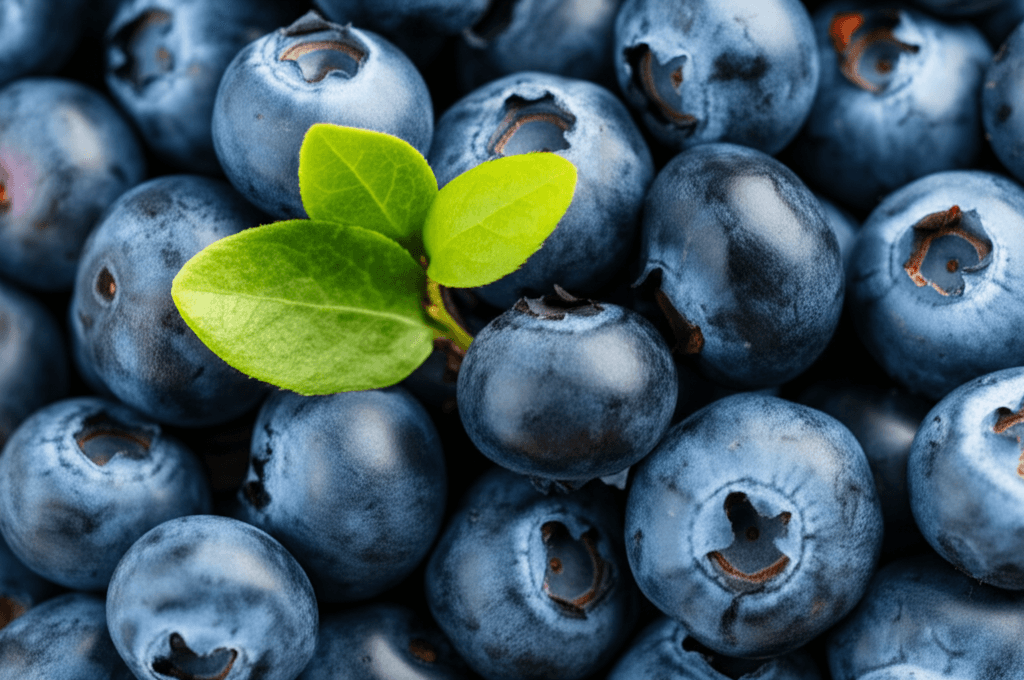 Fresh blueberries