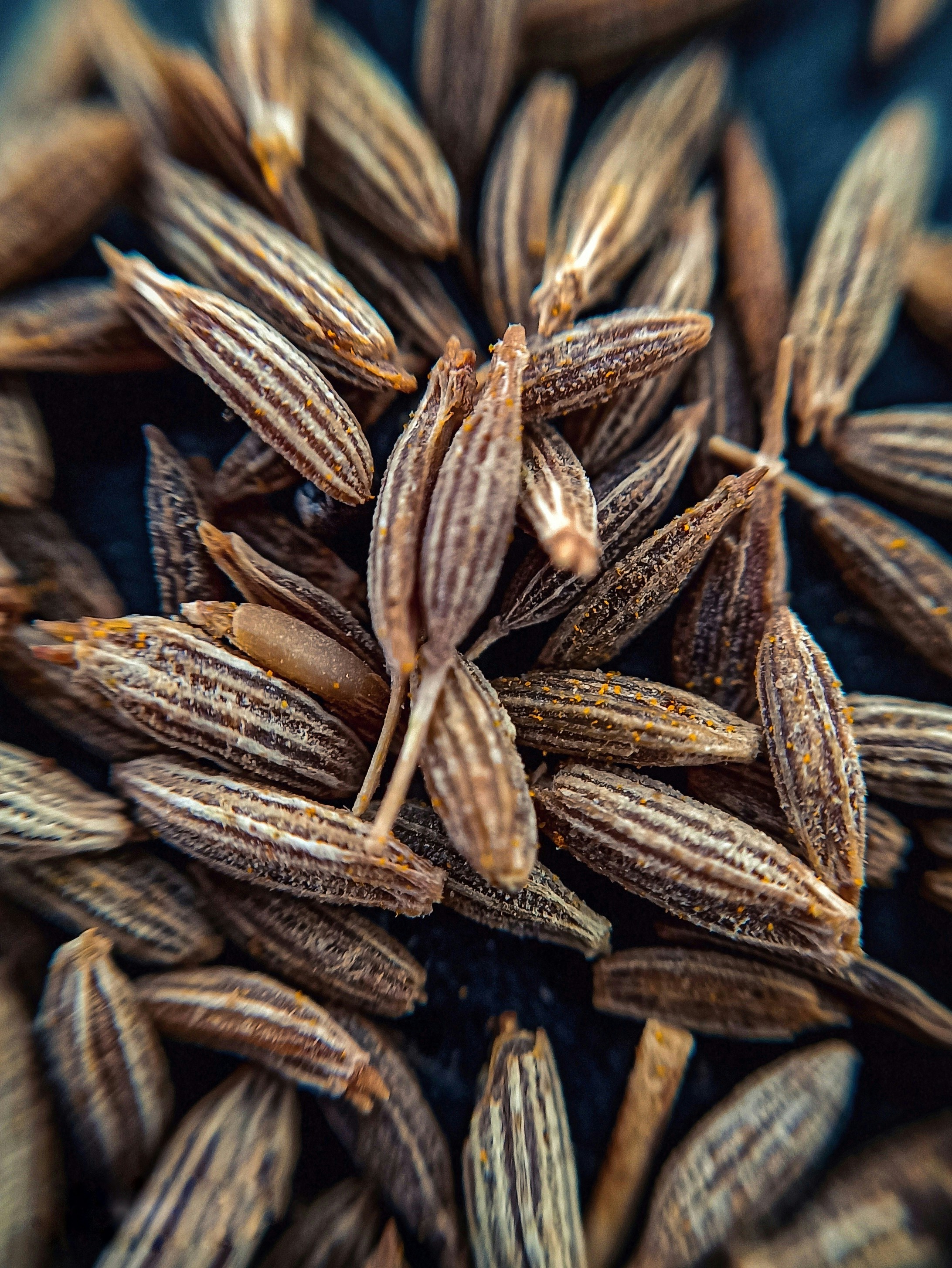 Detailed view of cumin seeds showing their characteristic ridged, elongated shape